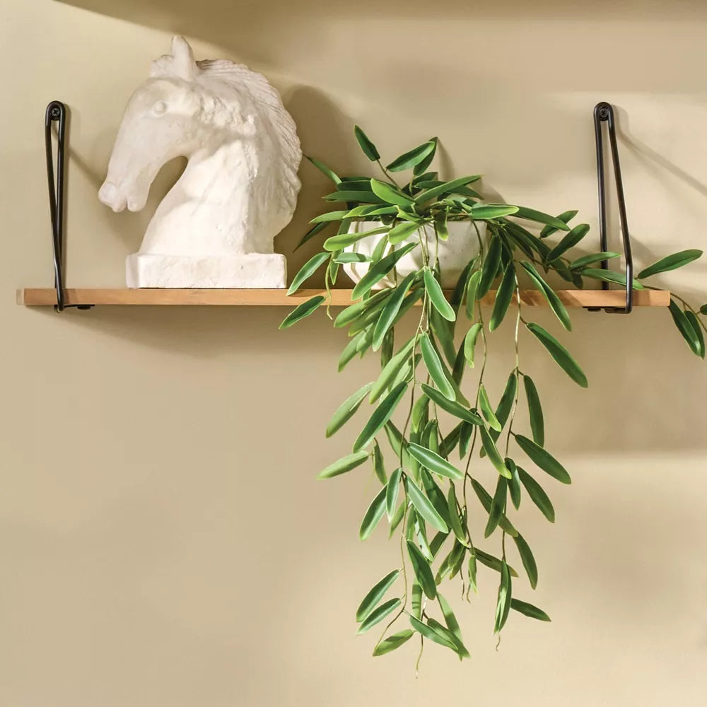 Artificial Trailing Hoya Potted Plant