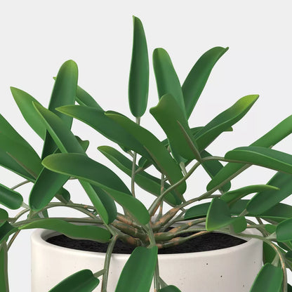 Artificial Trailing Hoya Potted Plant