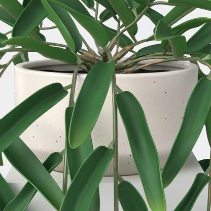 Artificial Trailing Hoya Potted Plant
