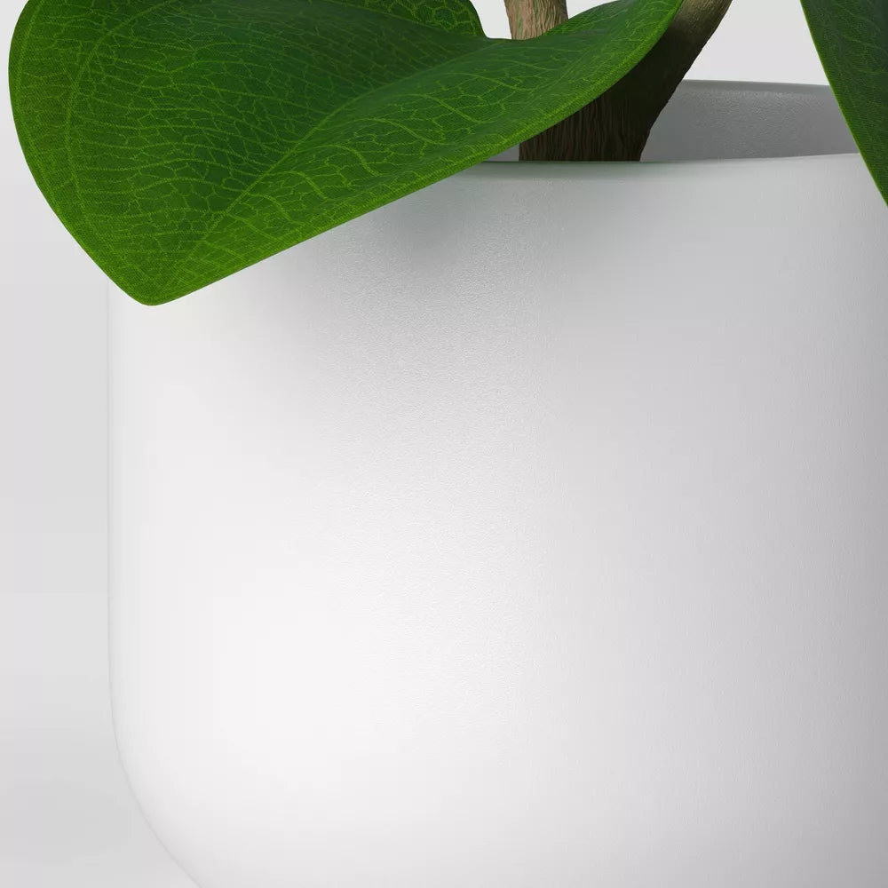 Artificial Peperomia Caperata Potted Plant