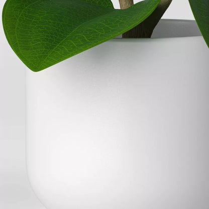 Artificial Peperomia Caperata Potted Plant